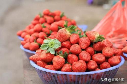 完整国产免费水莓100,免费品尝100份水莓的甜蜜诱惑 第3张 完整国产免费水莓100,免费品尝100份水莓的甜蜜诱惑 第3张